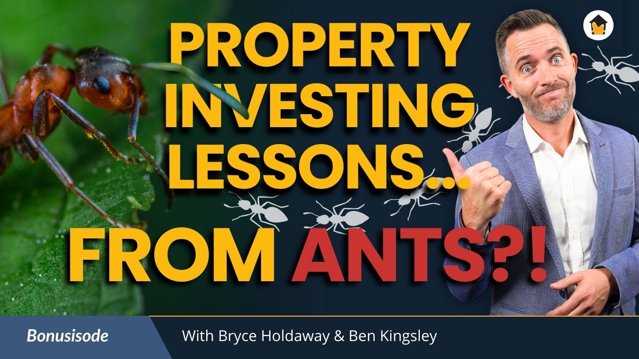 Ant lessons investing